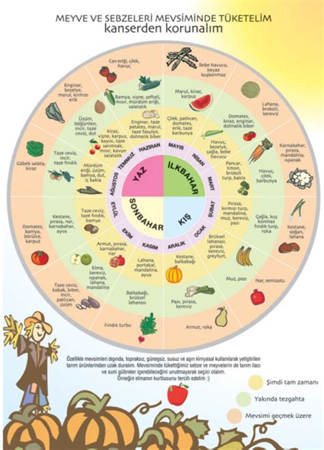 Mevsimine Göre Sağlıklı Beslenme ve Sebze/Meyve Tüyoları